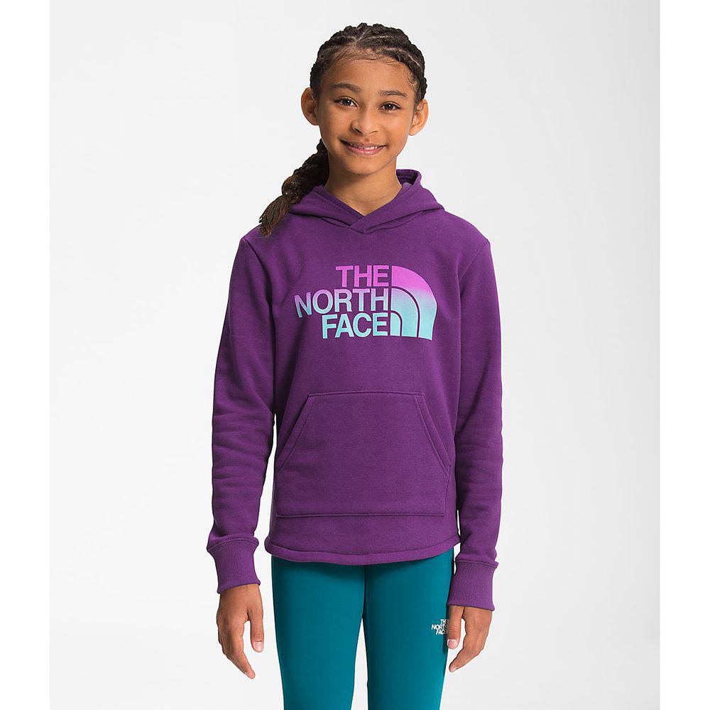 The North Face Camp Fleece Pullover Κορίτσια Φούτερ Hoodie - Μωβ (QWEH51642)